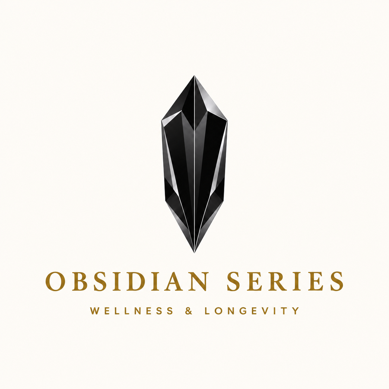 Black obsidian crystal above the gold Obsidian Series Wellness and Longevity wordmark